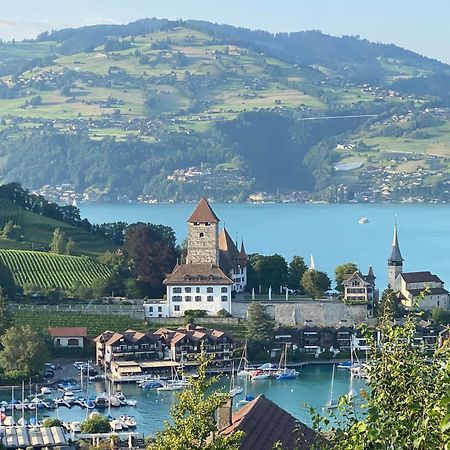 Herrlicher Blick Auf Berge Und See فولنسي المظهر الخارجي الصورة